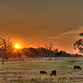 Texas Sunrise